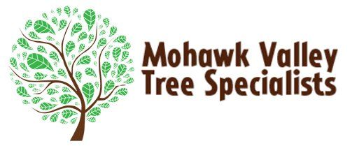 Mohawk Valley Tree Specialists - Logo