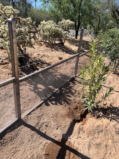 a metal fence surrounds a dirt field with cactus and trees
