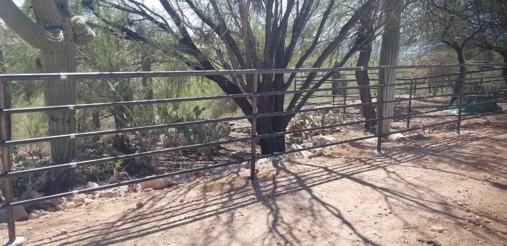 a fence with a tree in the background and shadows on the ground