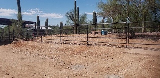 a dirt road with a fence and cactus in the background