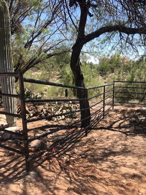 a fence in the desert with a tree in the background