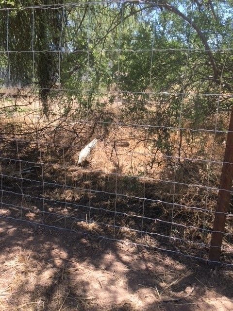a wire fence surrounds a dirt field with trees in the background