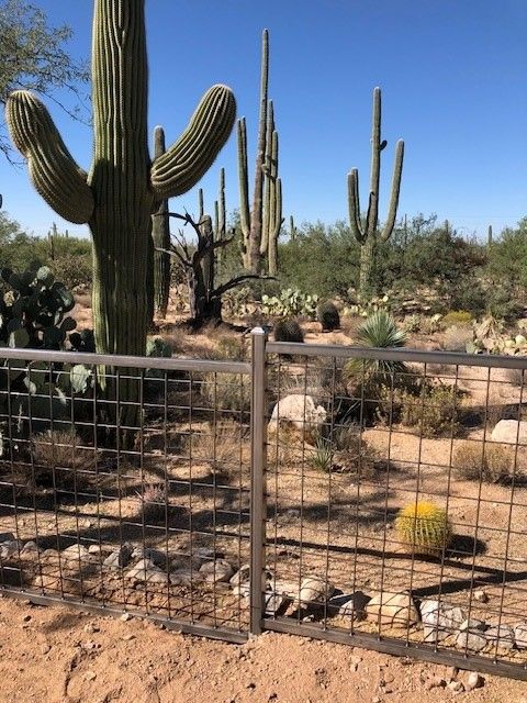 a fence surrounds a desert filled with cactus and rocks