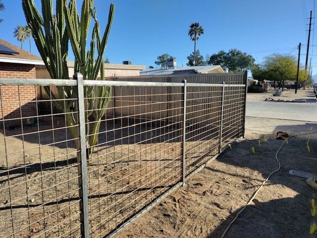 a metal fence with a cactus in the background