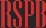 Rock Spring Paint & Body-Logo