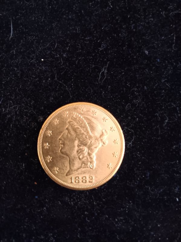 Gold coin on a dark background, showing the profile of Liberty and the year 1889.