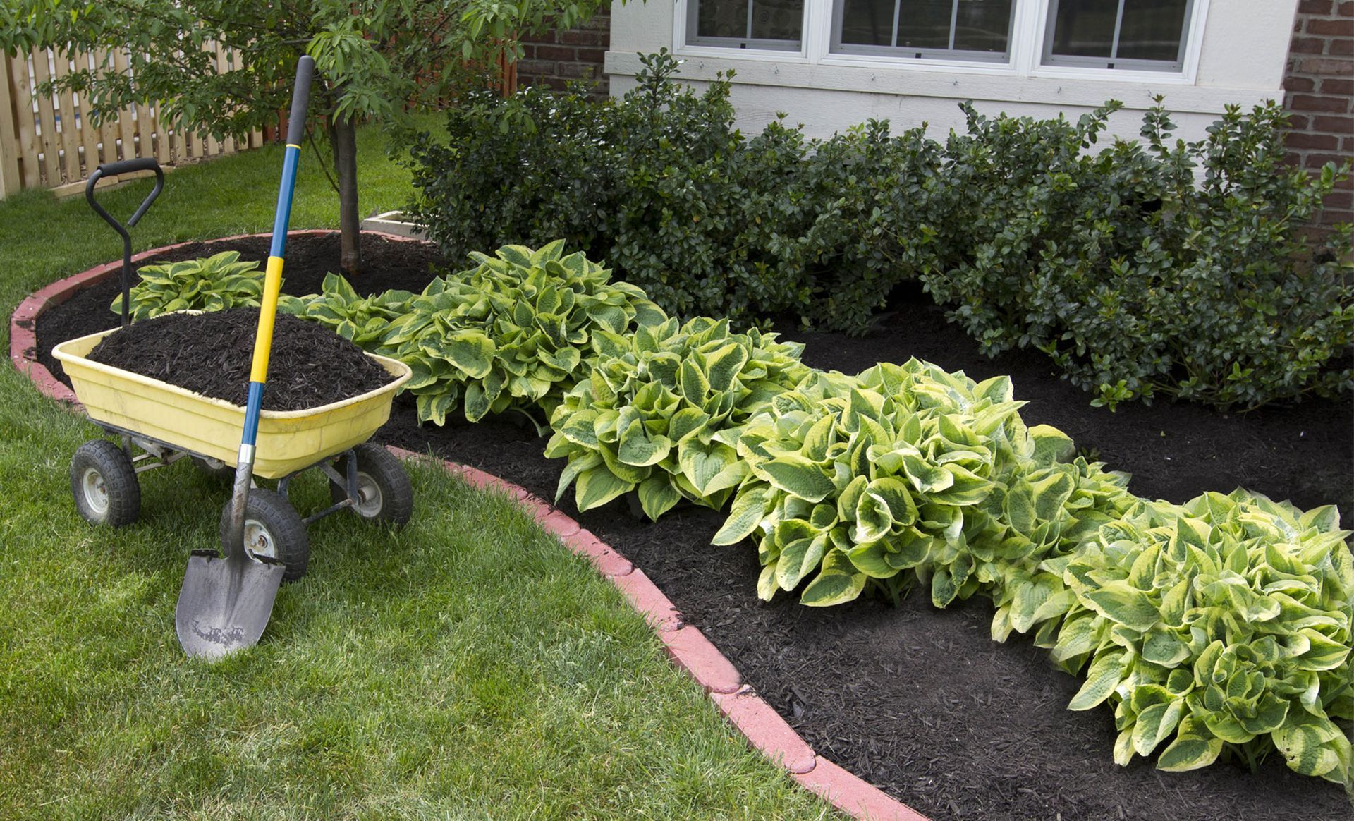 A wheelbarrow filled with dirt next to a shovel in a garden.