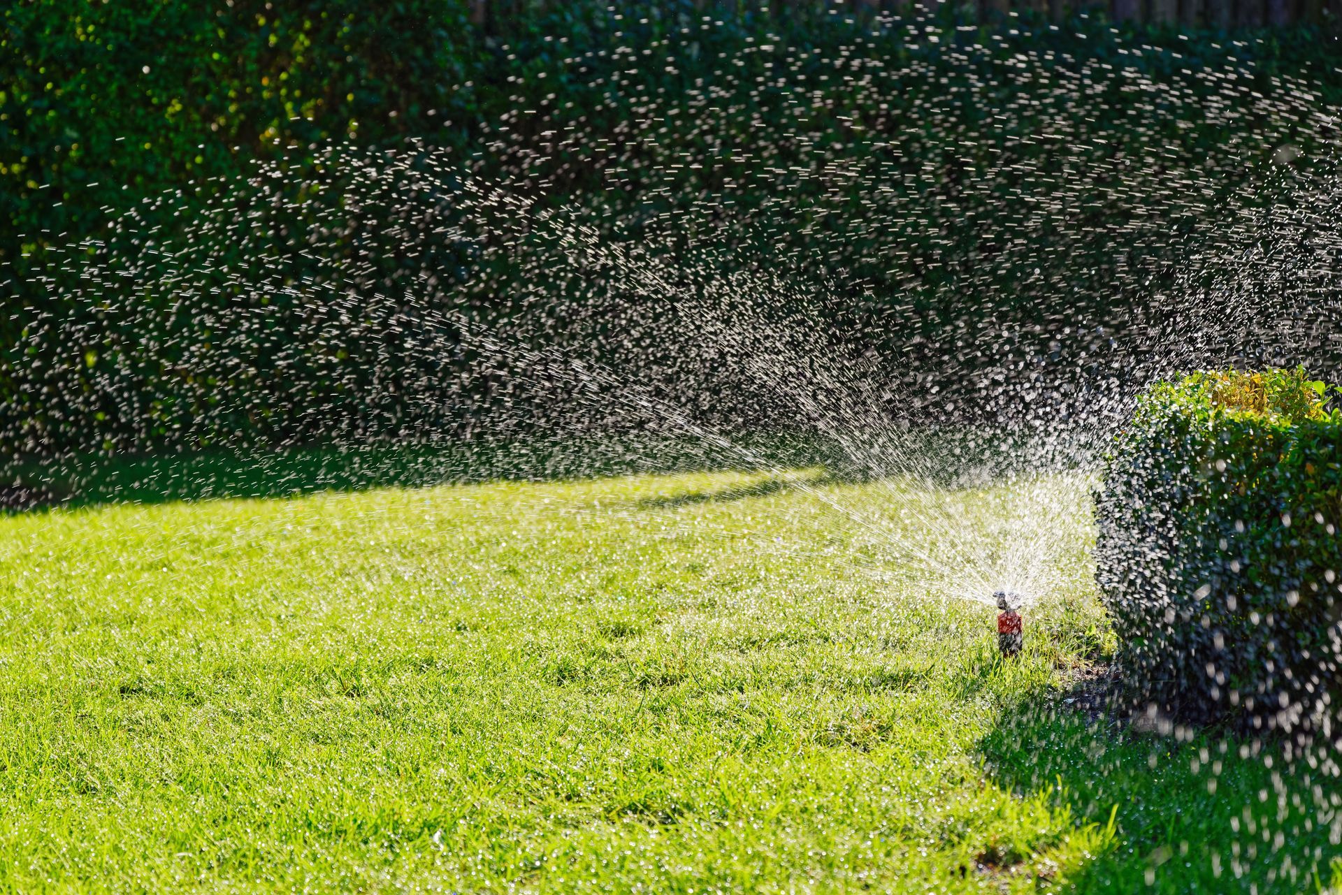 A lawn sprinkler is spraying water on a lush green lawn.