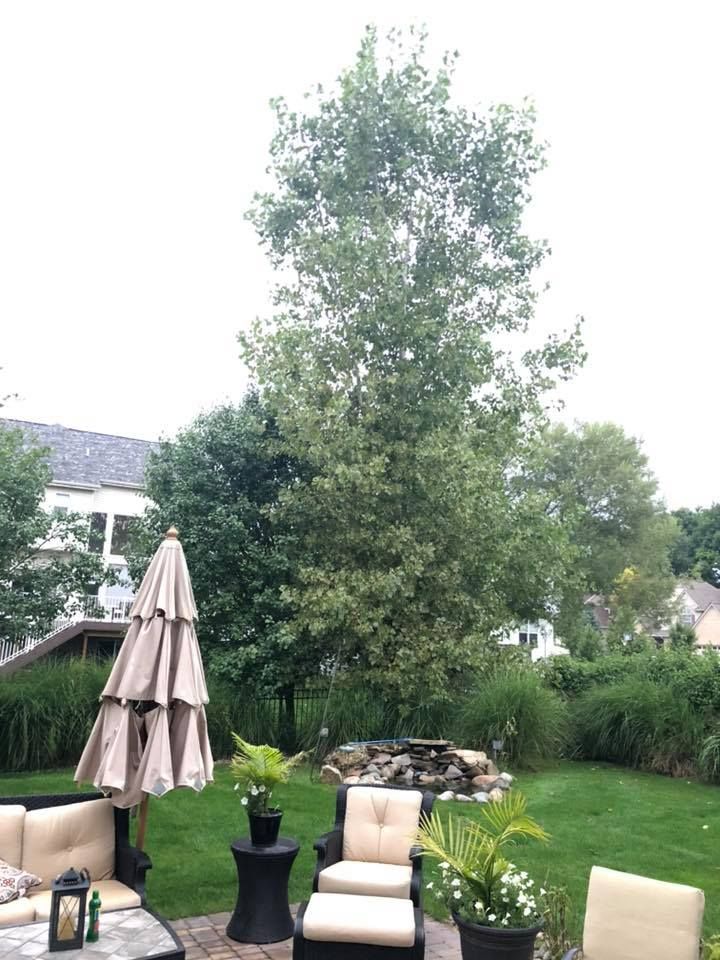A backyard with a lot of furniture and umbrellas