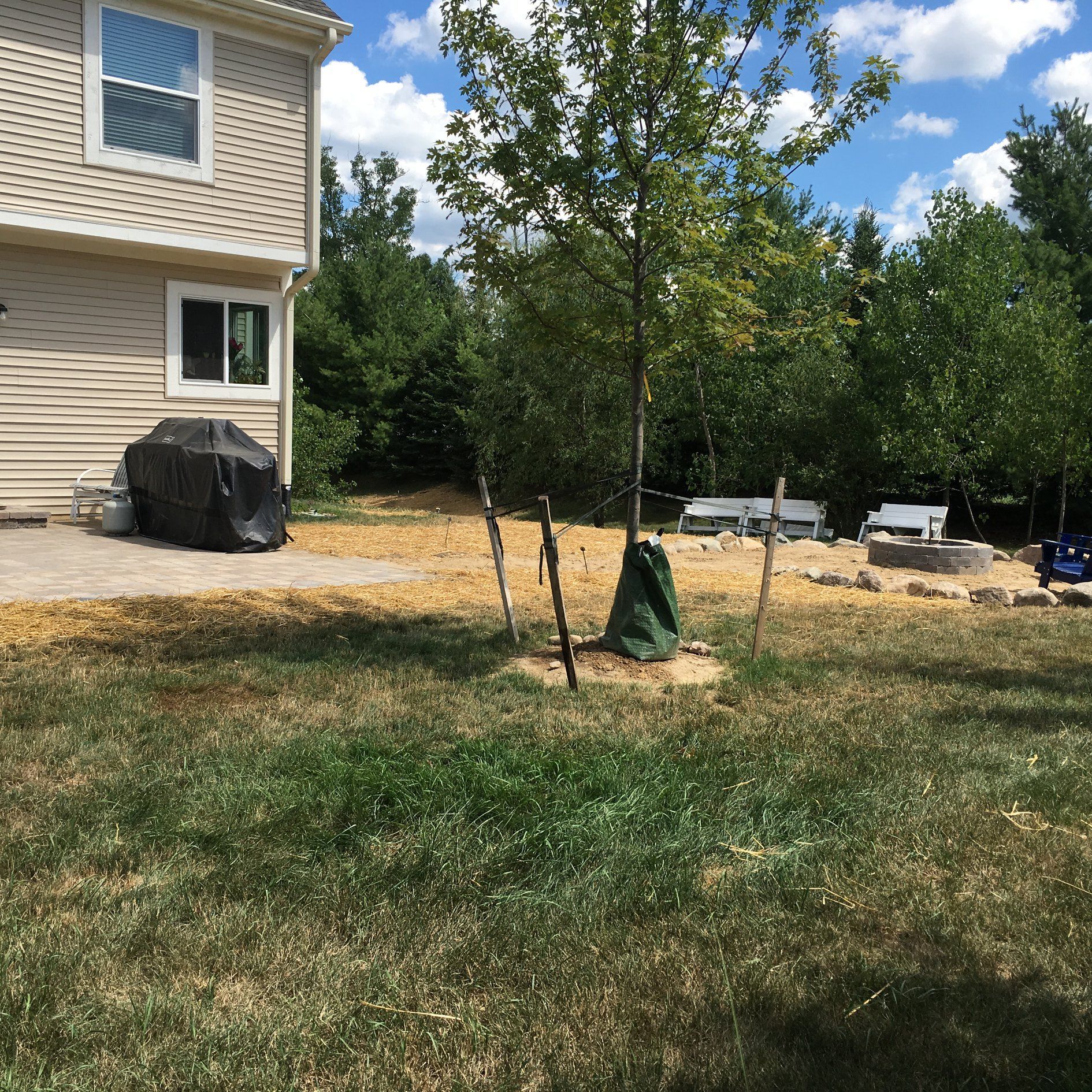 A house with a grill and a tree in front of it