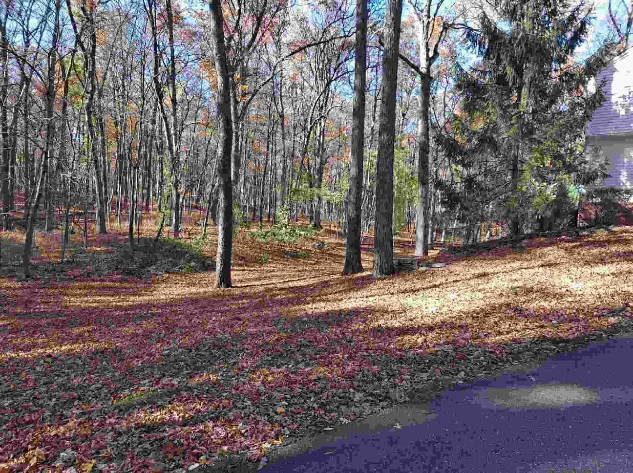 A house is sitting on the side of a road in the middle of a forest.