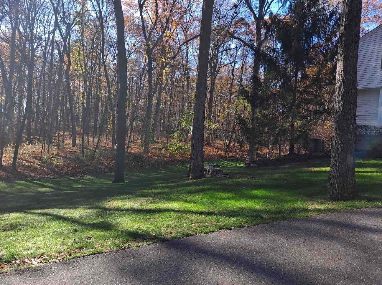 A driveway leading to a house with trees in the background.