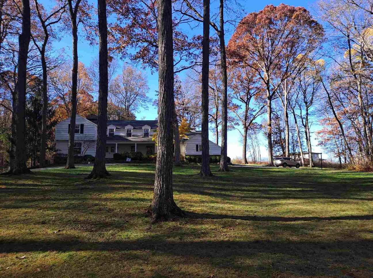 A house is surrounded by trees on a sunny day.