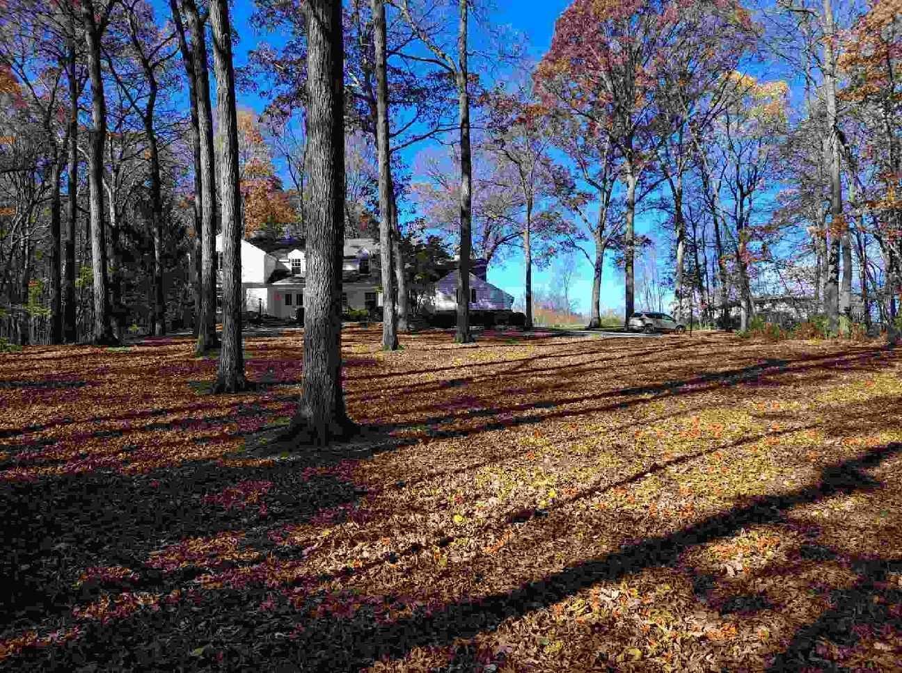 There is a house in the background and a lot of leaves on the ground.
