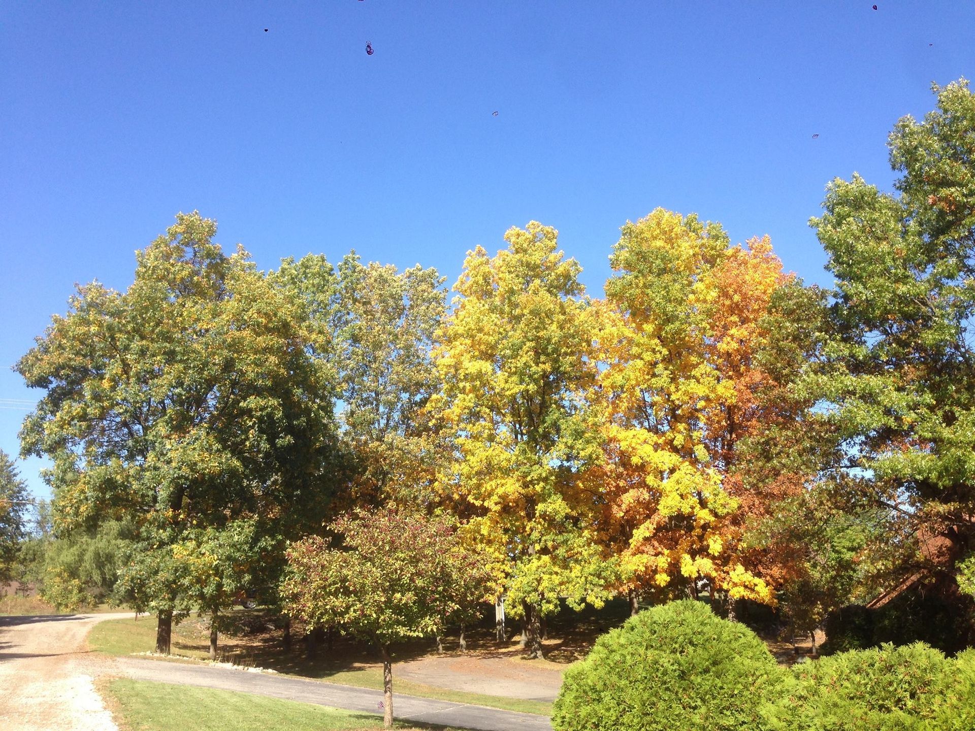 A little boy is sitting on a red toy lawn mower