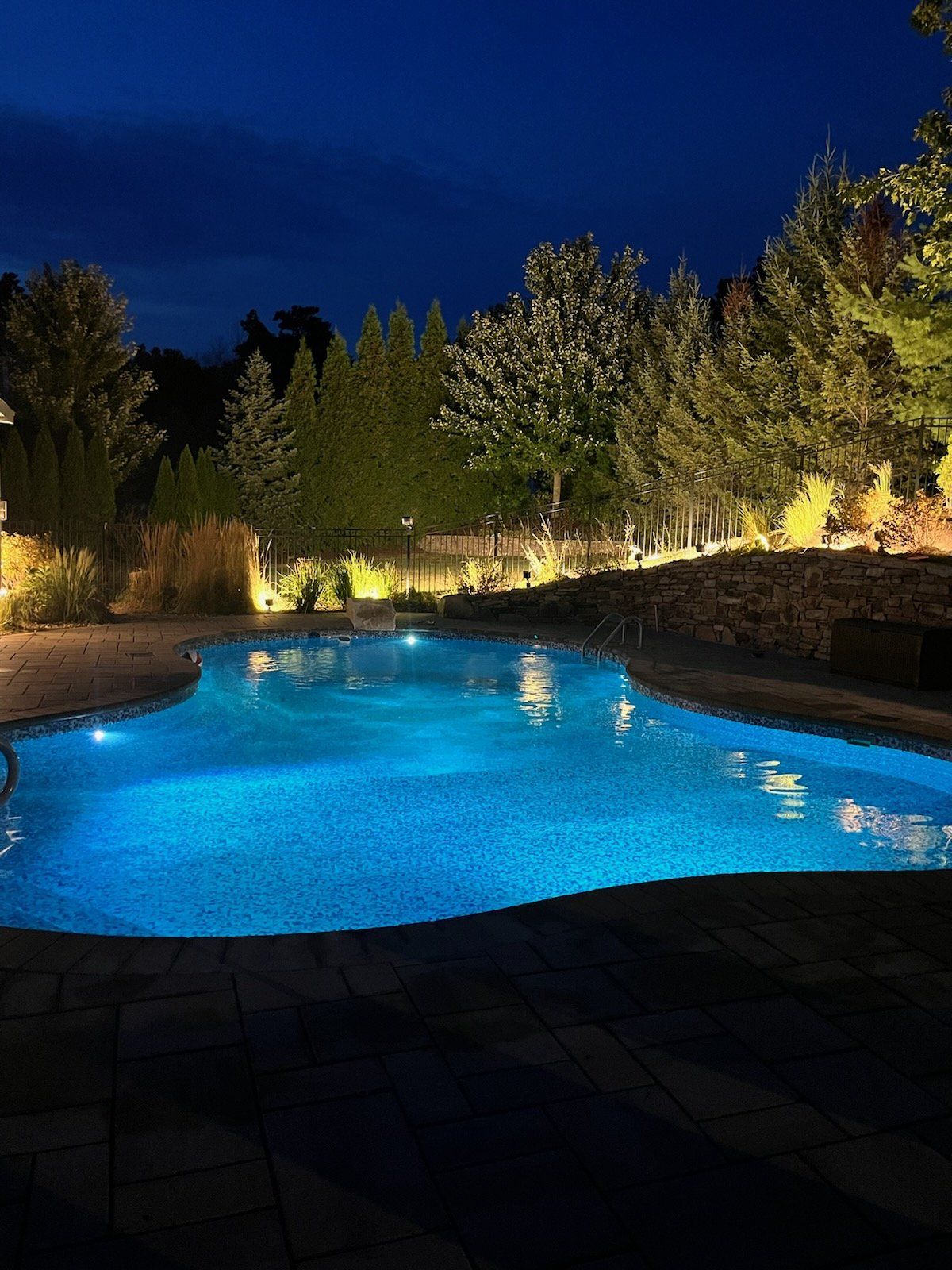 A large swimming pool is lit up at night with trees in the background.