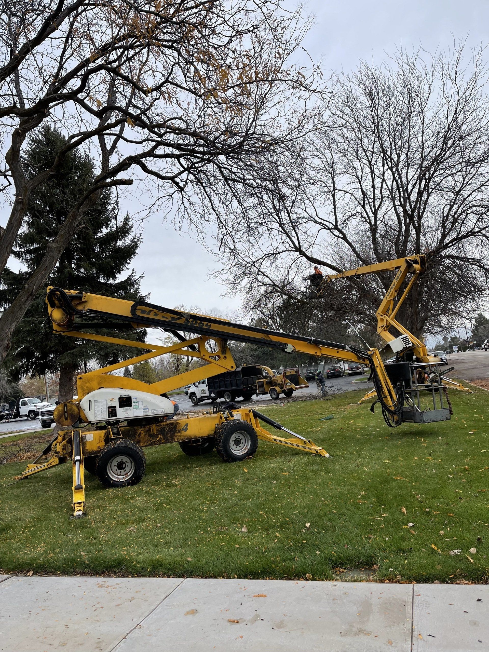 A yellow crane is sitting in the grass next to a tree.