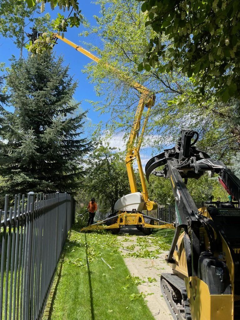 A crane is cutting a tree in a yard next to a fence.