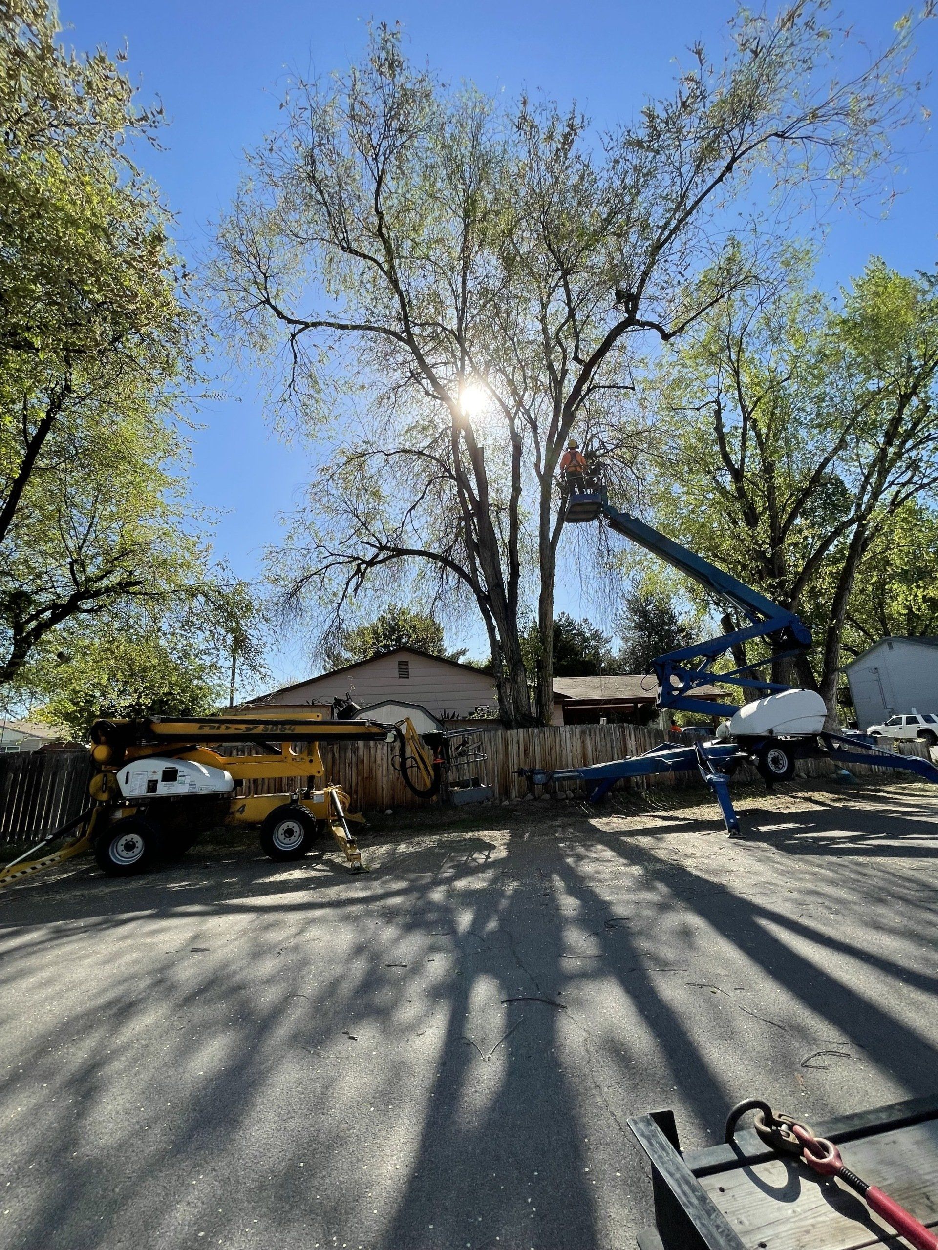 A man is cutting a tree with a crane in a parking lot.