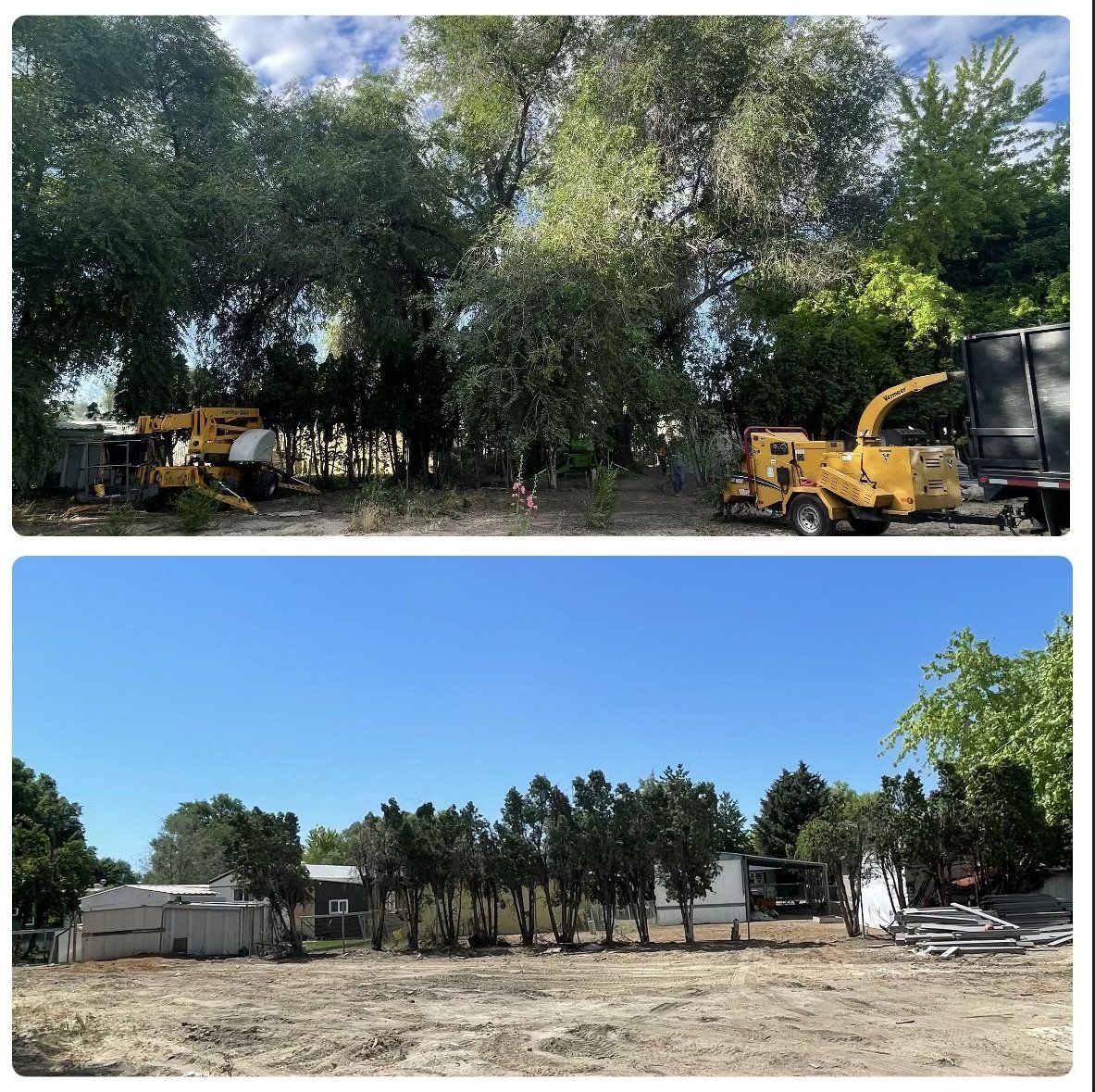 A before and after picture of a tree being cut down