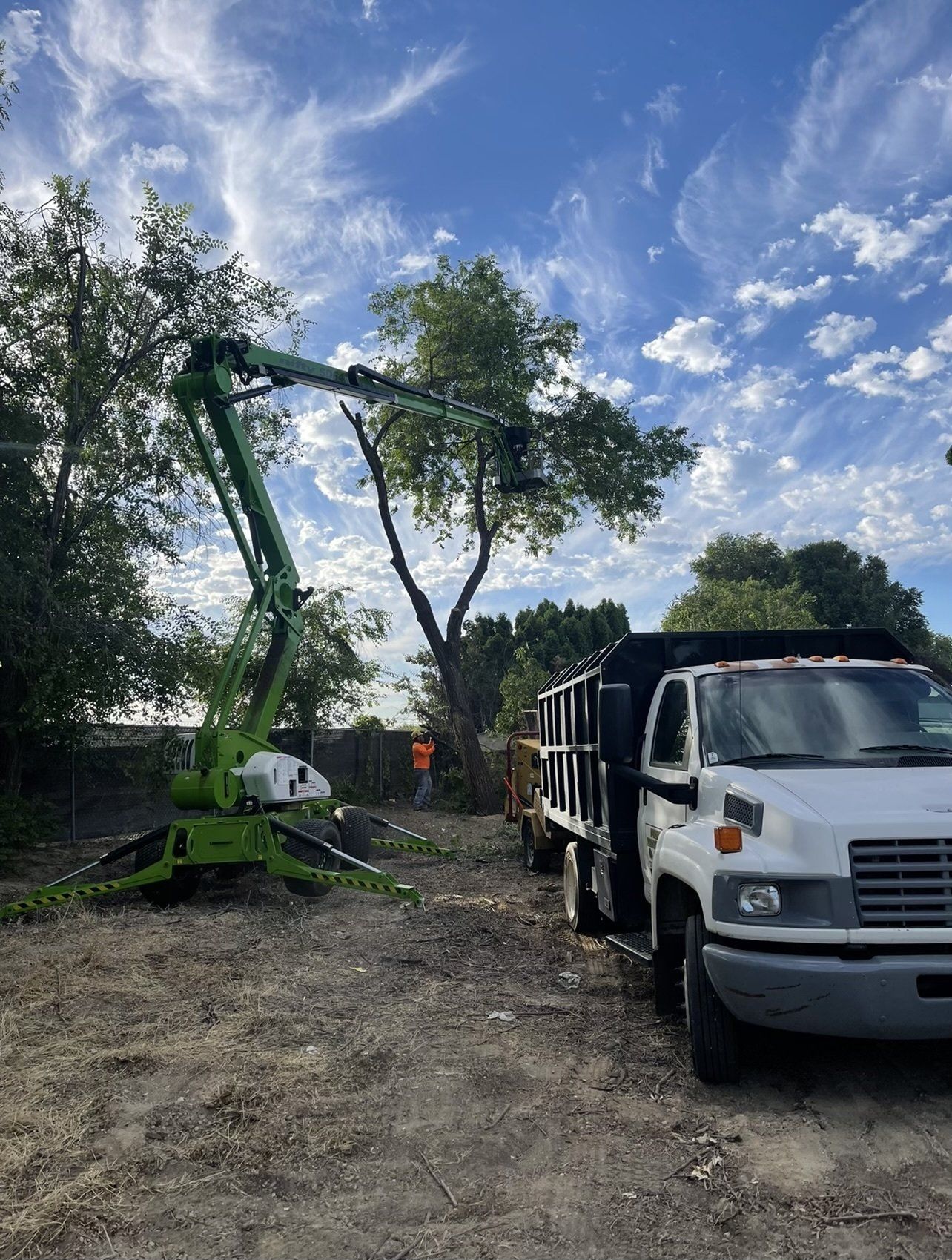 A crane is cutting a tree next to a dump truck.