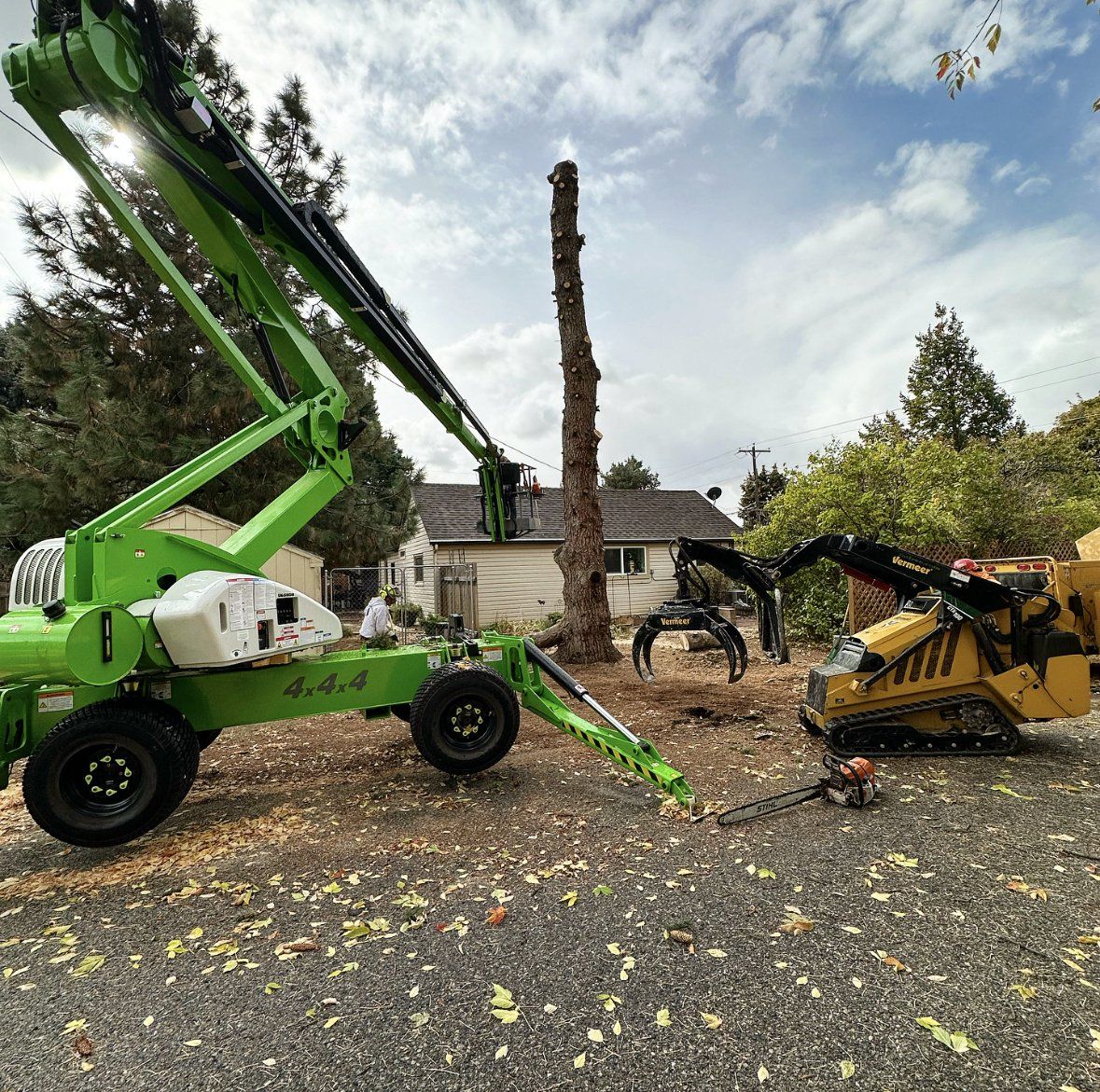 A green crane is being used to remove a tree