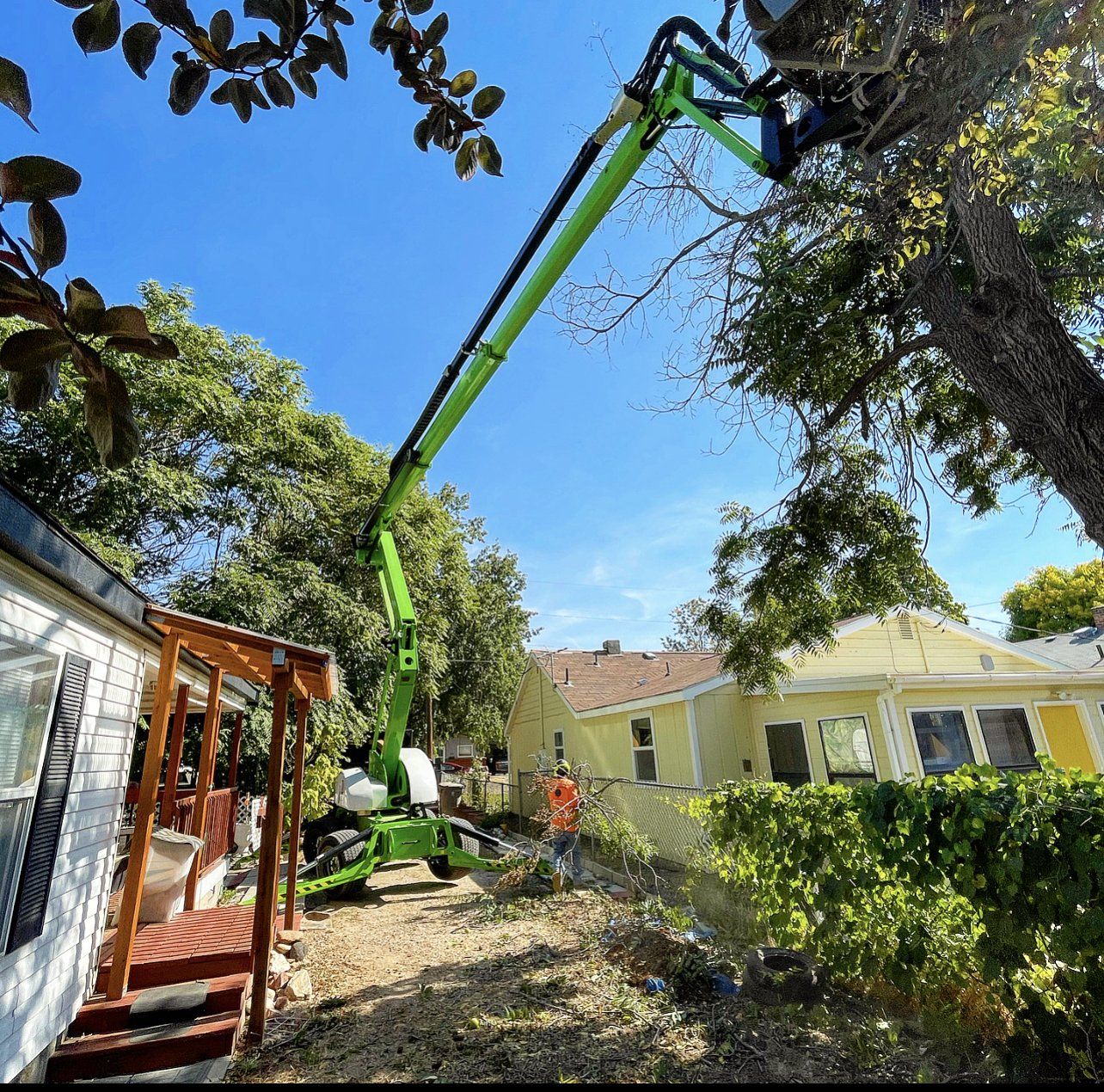 A green crane is cutting a tree in front of a house.