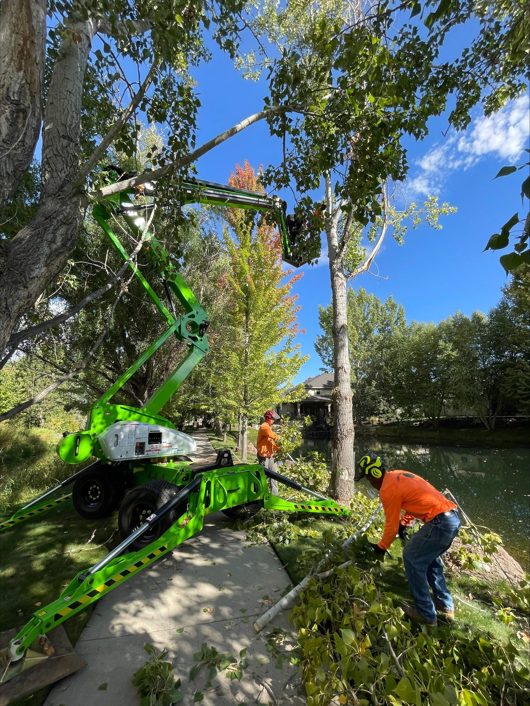 A man is cutting a tree with a crane.
