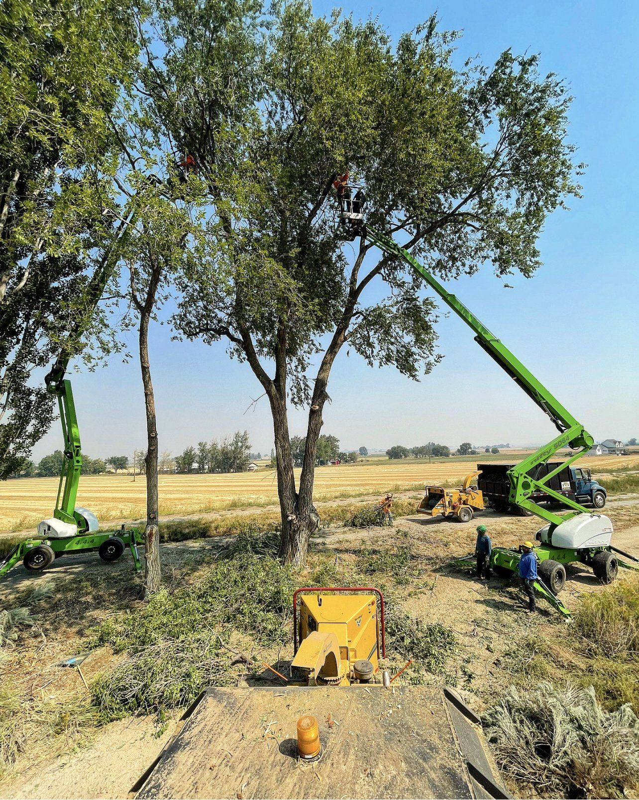 A man is cutting a tree with a crane in a field.