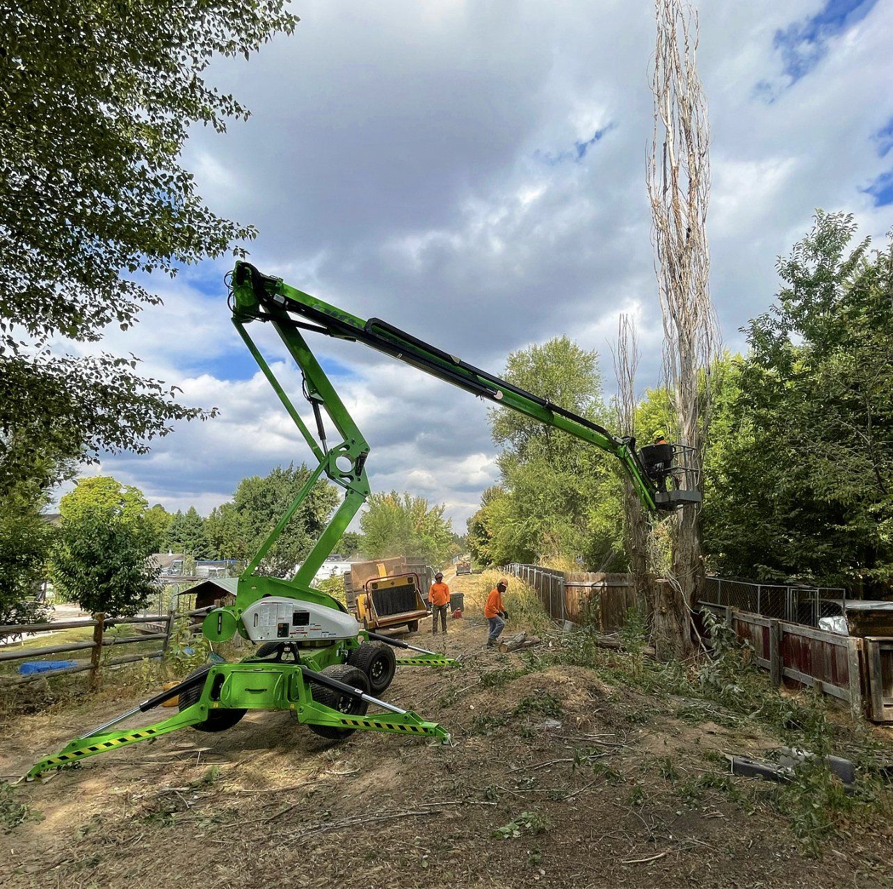 A green crane is cutting a tree in the woods.