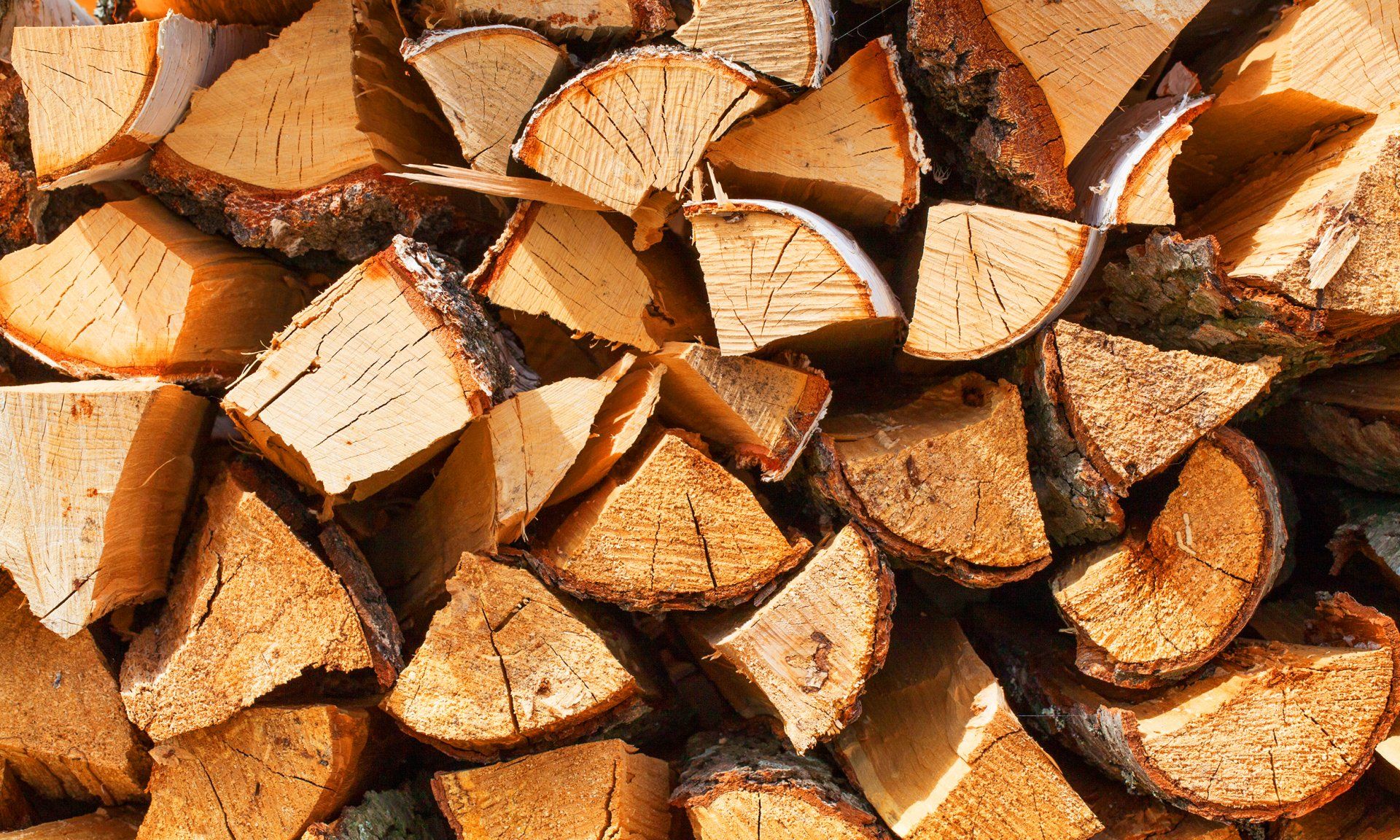 Firewood