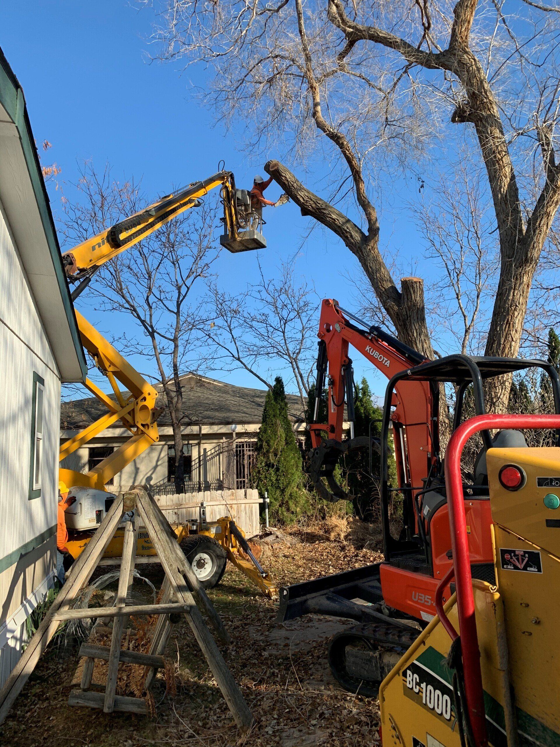 A man is cutting a tree with a crane in front of a house.