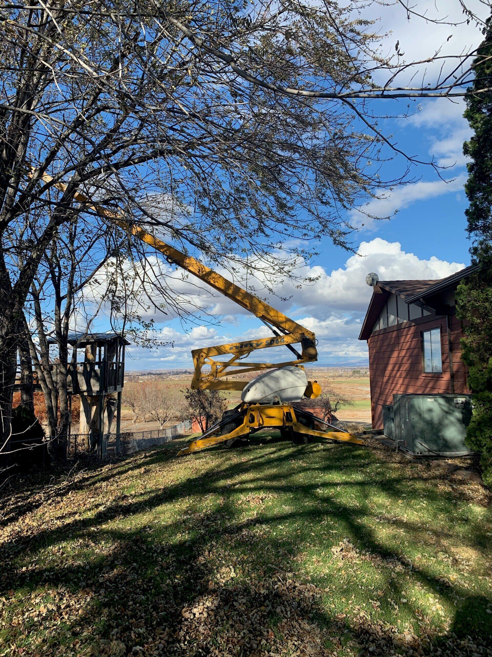 A yellow crane is cutting a tree in front of a house.