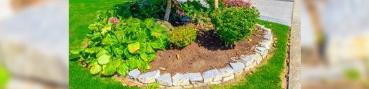 Lawn Custom Design