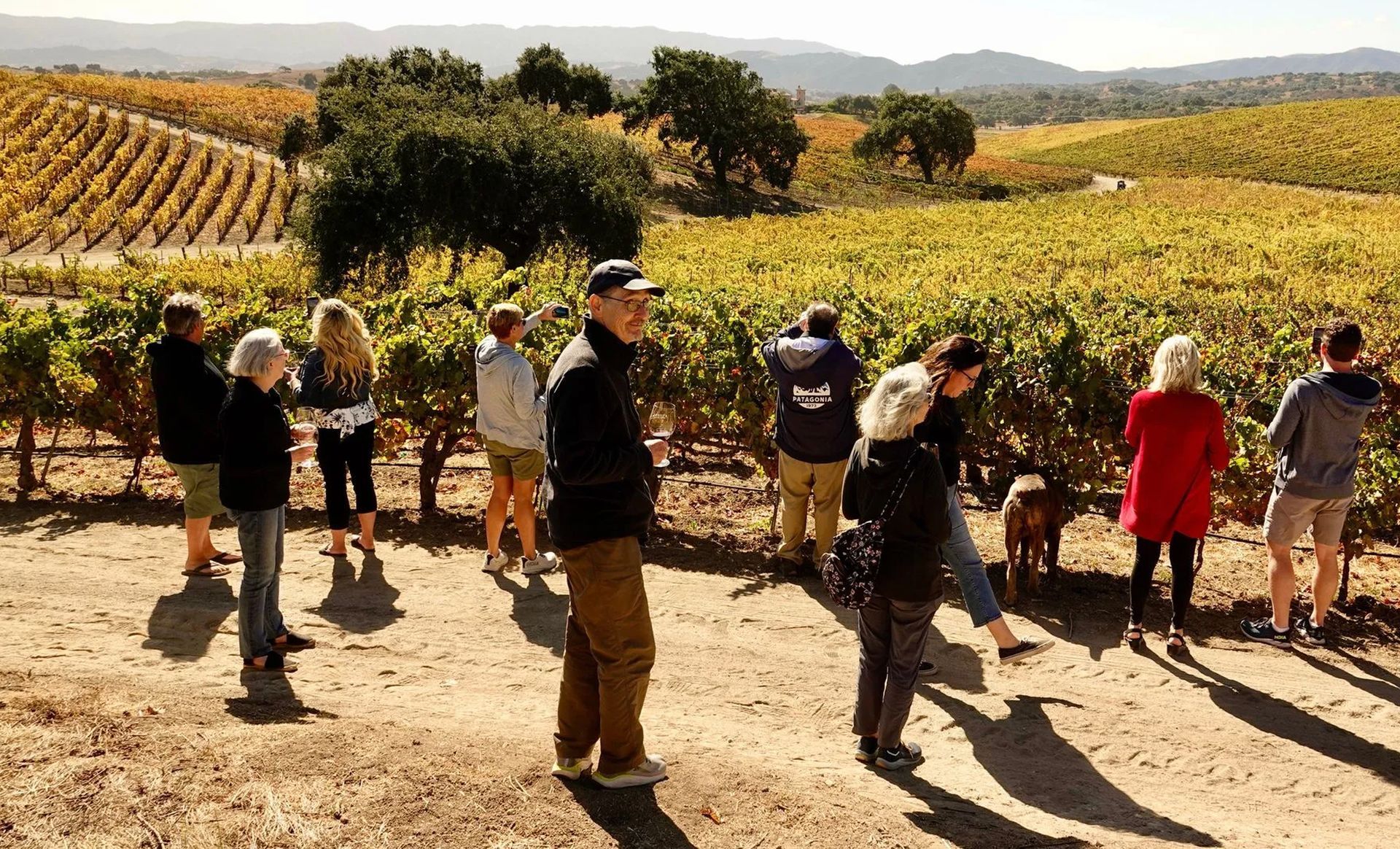 A group of people are standing in front of a vineyard.