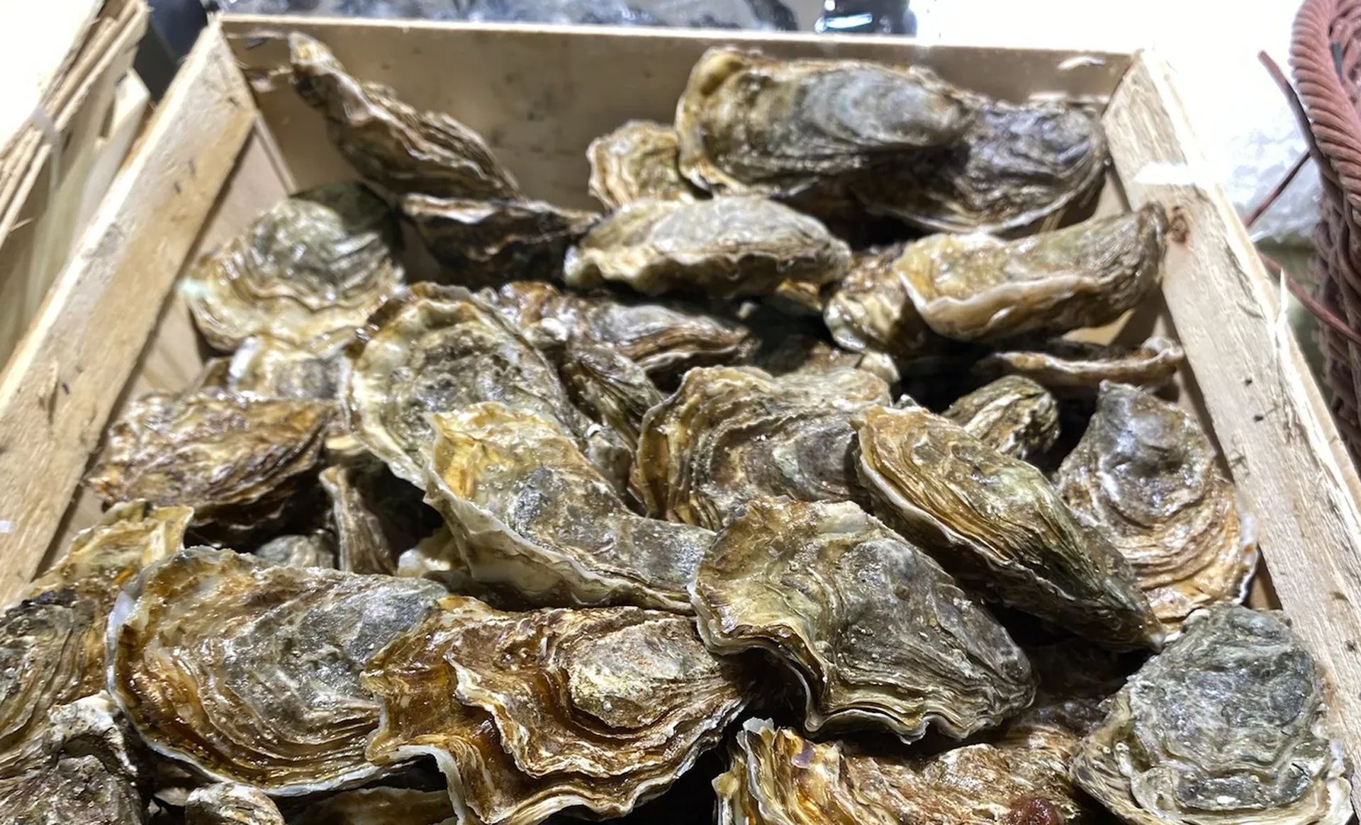 A wooden box filled with oysters is sitting on a table.