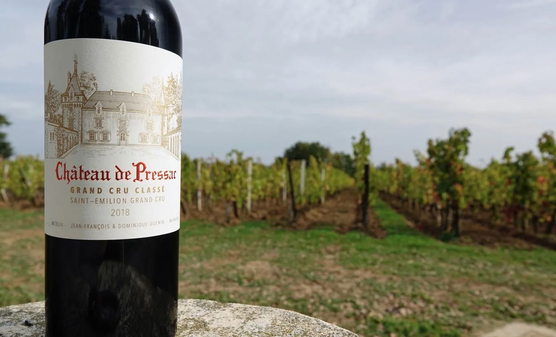 A bottle of wine is sitting on a rock in front of a vineyard.