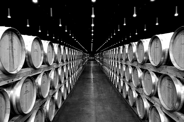 A black and white photo of a row of wine barrels in a wine cellar.