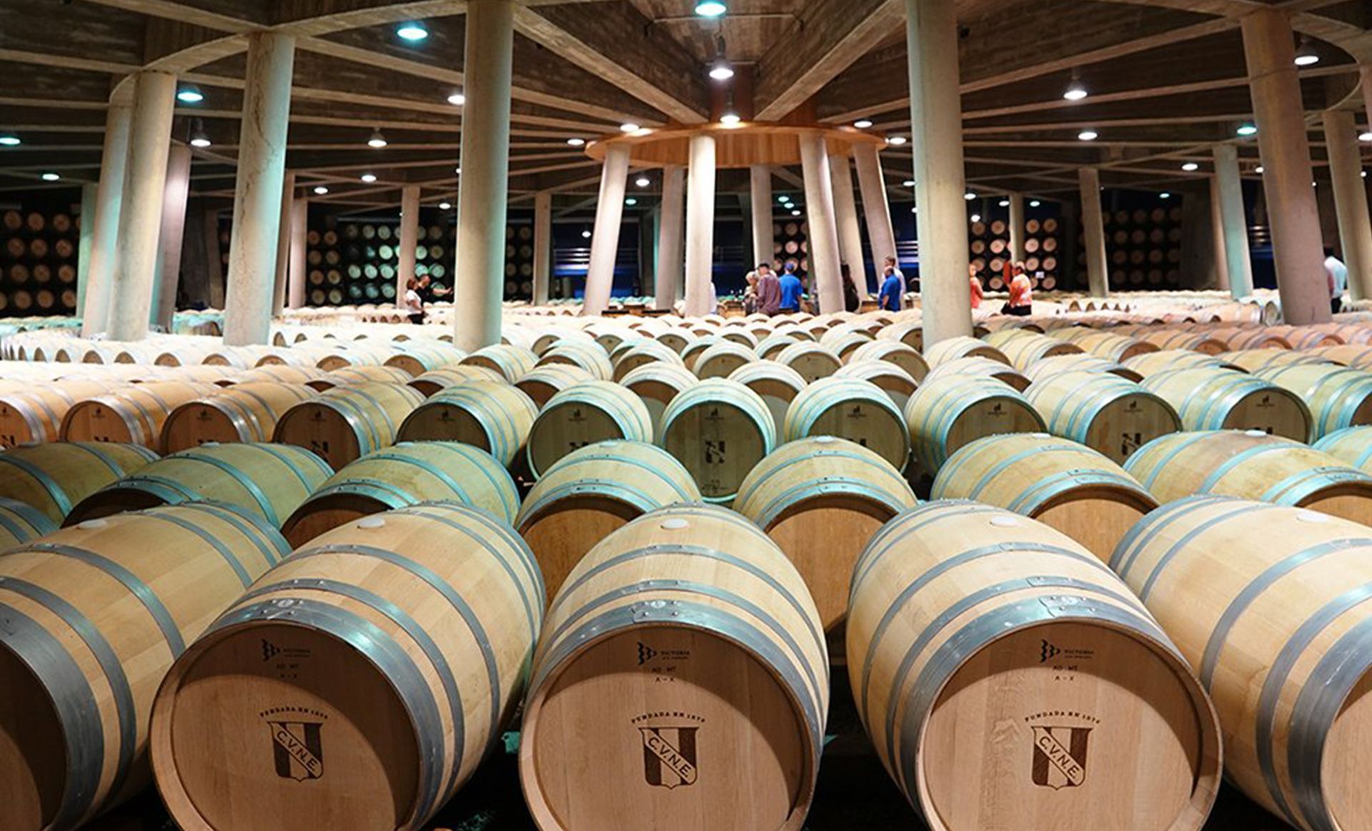 A bunch of wooden barrels are lined up in a warehouse
