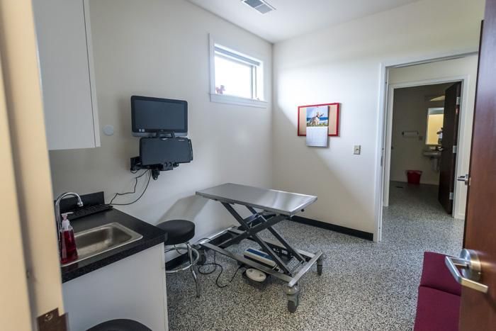 Veterinary examination room with stainless steel table, sink, mounted monitor, and open doorway.