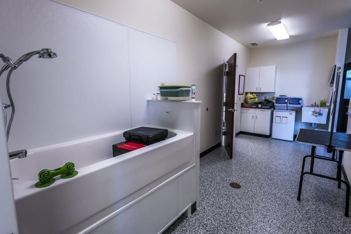 Dog wash station with a white tub, showerhead, and grooming table.