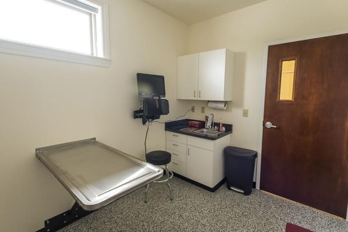 Veterinary examination room with stainless steel table, cabinets, sink, and dark brown door.