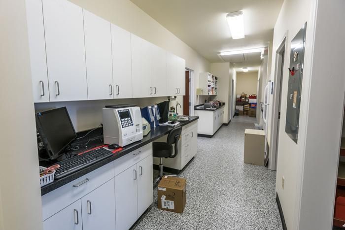 Laboratory hallway with white cabinets, equipment, and speckled floor.