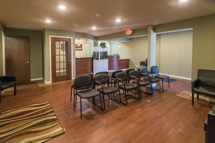 Waiting room with rows of chairs, reception desk, and wooden flooring. Olive green walls.