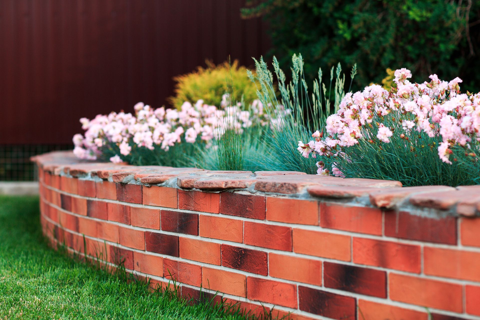 Curved red brick garden bed with pink flowers and green plants.