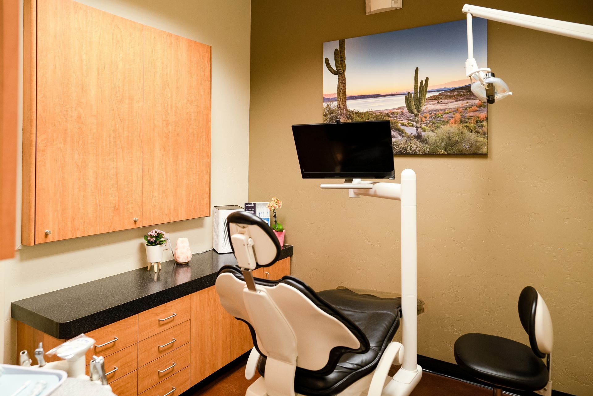 A dental office with a picture of a cactus on the wall