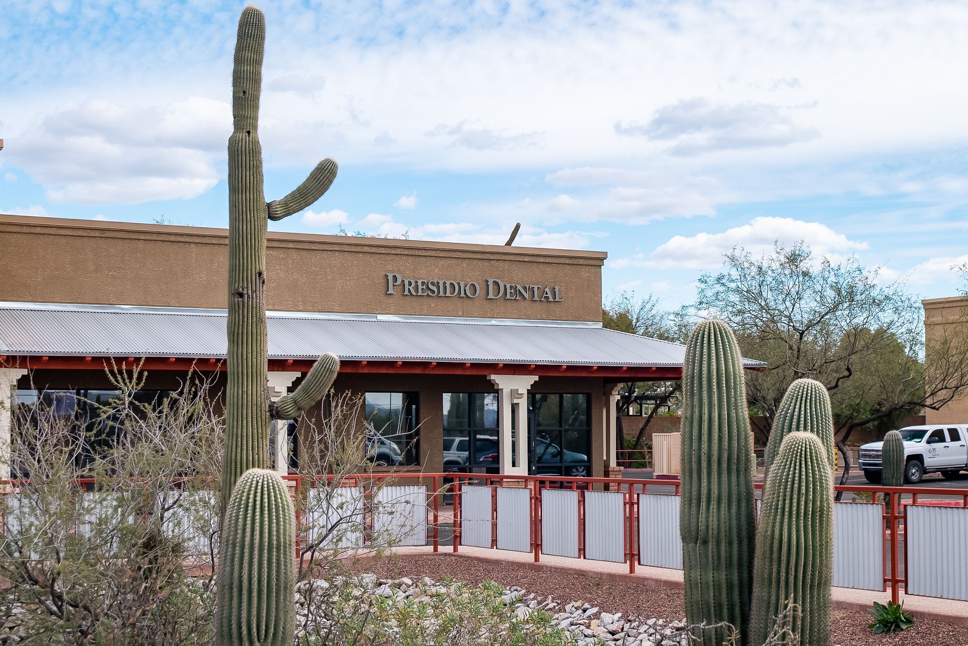 A dental office with a lot of cactus in front of it