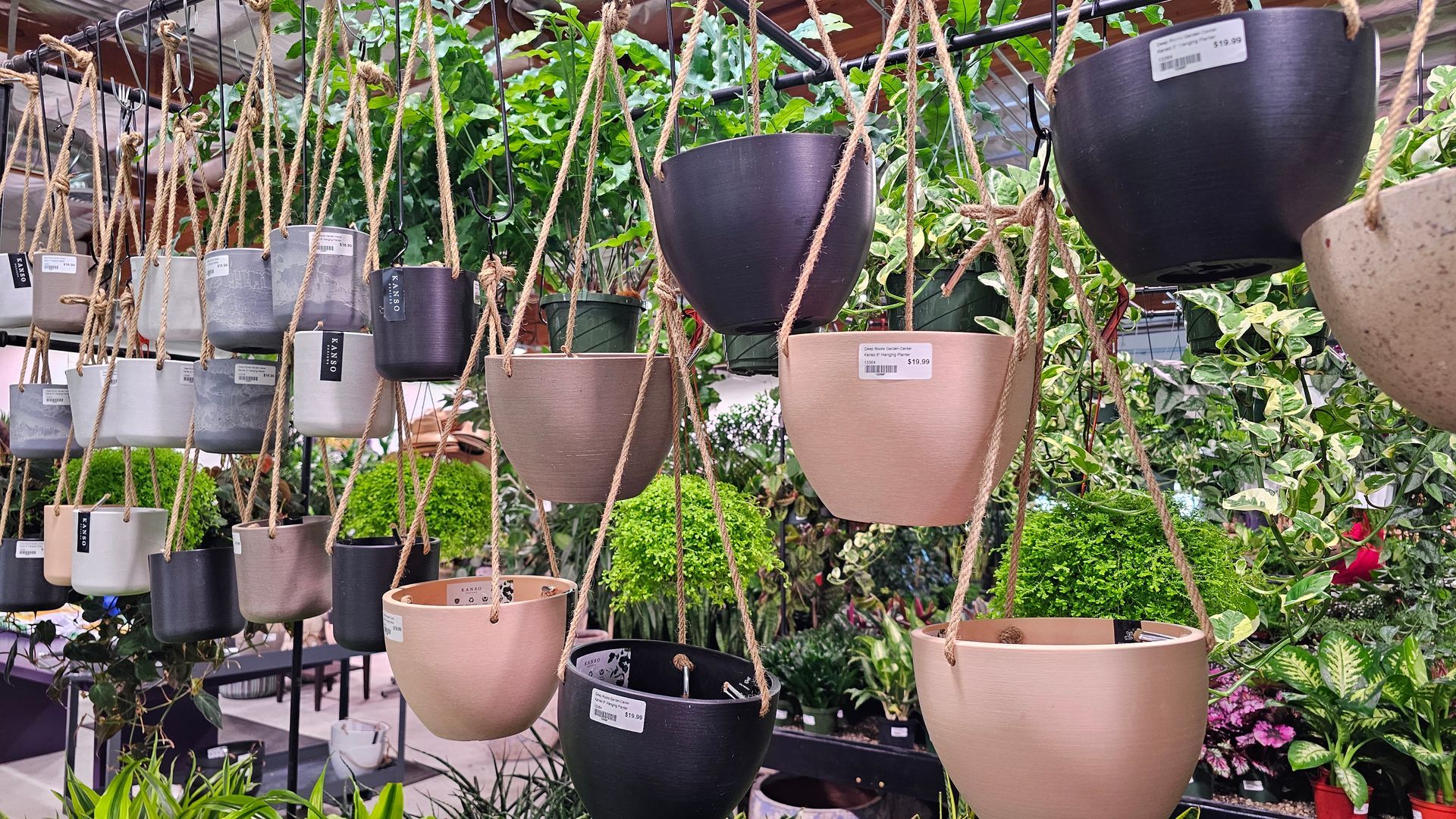 Hanging planters with plants in a greenhouse. Various colors; beige, black, gray, and green plants with natural ropes.