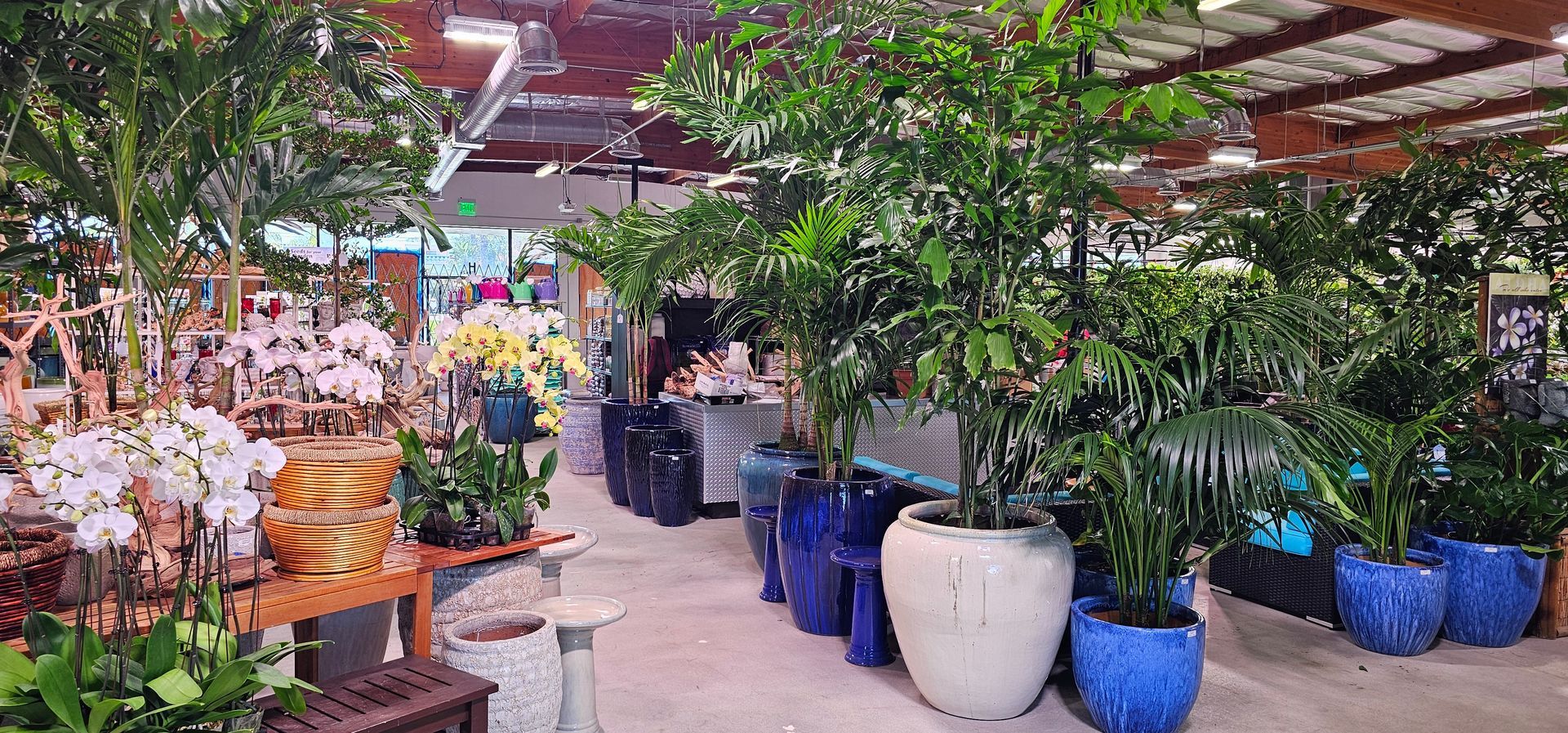 A plant store interior with green plants in blue and white pots, and flowers displayed on wooden tables.