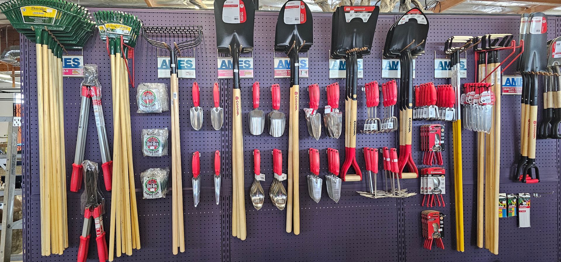Gardening tools on display: rakes, shovels, trowels, and clippers arranged on a purple pegboard.